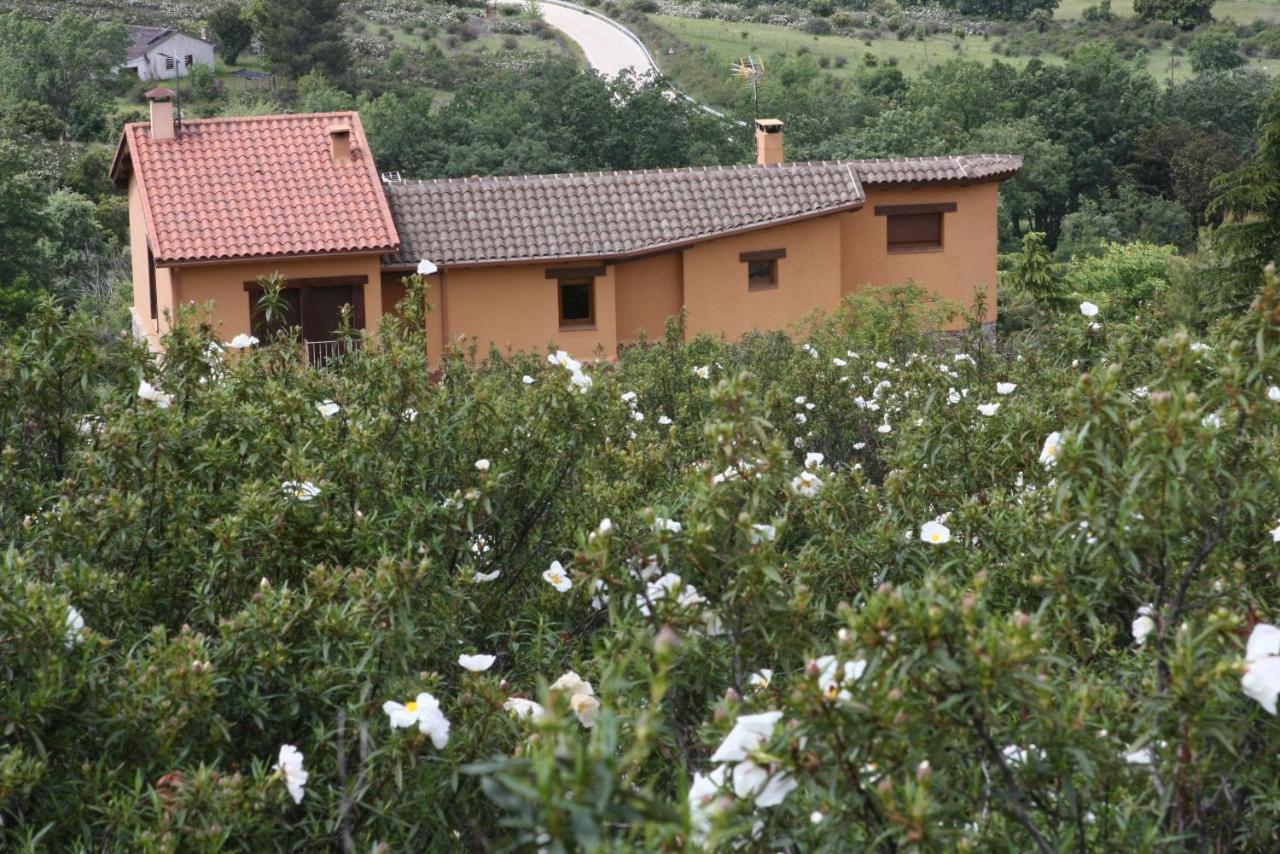 Apartamento - Planta baja