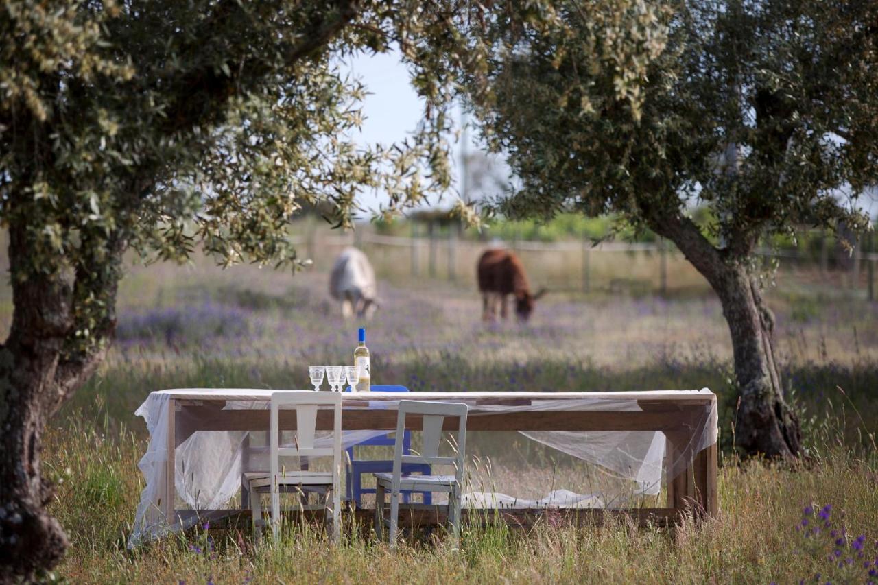 B&B Ferreira do Alentejo - Quinta dos doze Sobreiros - Quarto Sol - Bed and Breakfast Ferreira do Alentejo