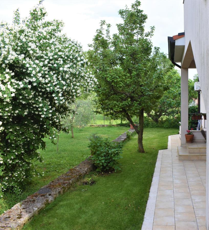 Apartment Sopta - Bed and Breakfast