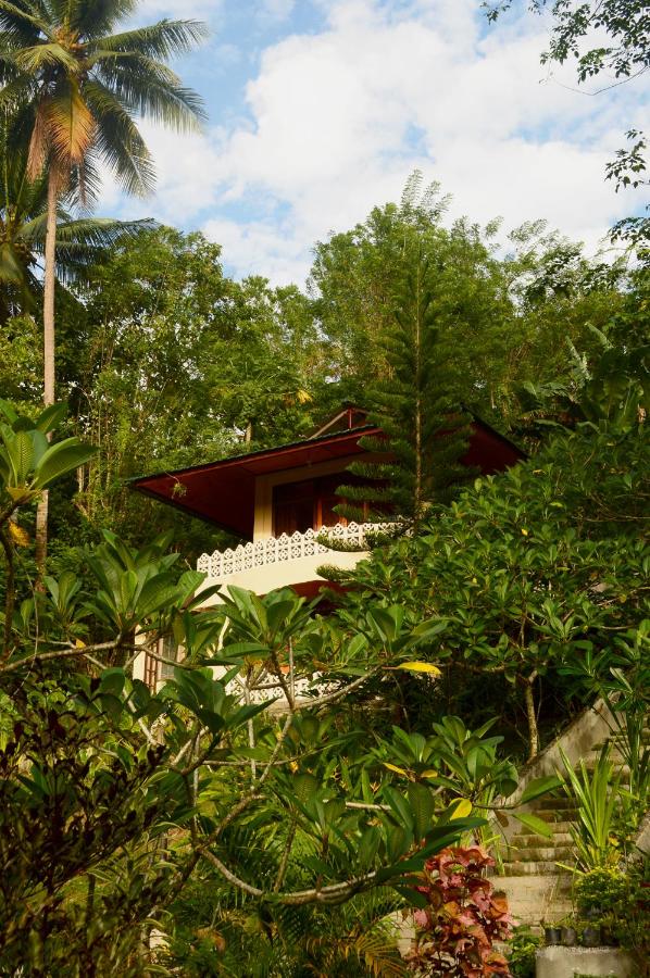 Tangkoko Sanctuary Villa - B&B