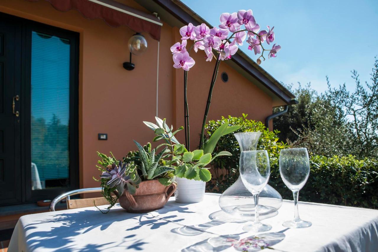 Villa il Borraccio - Bed and Breakfast