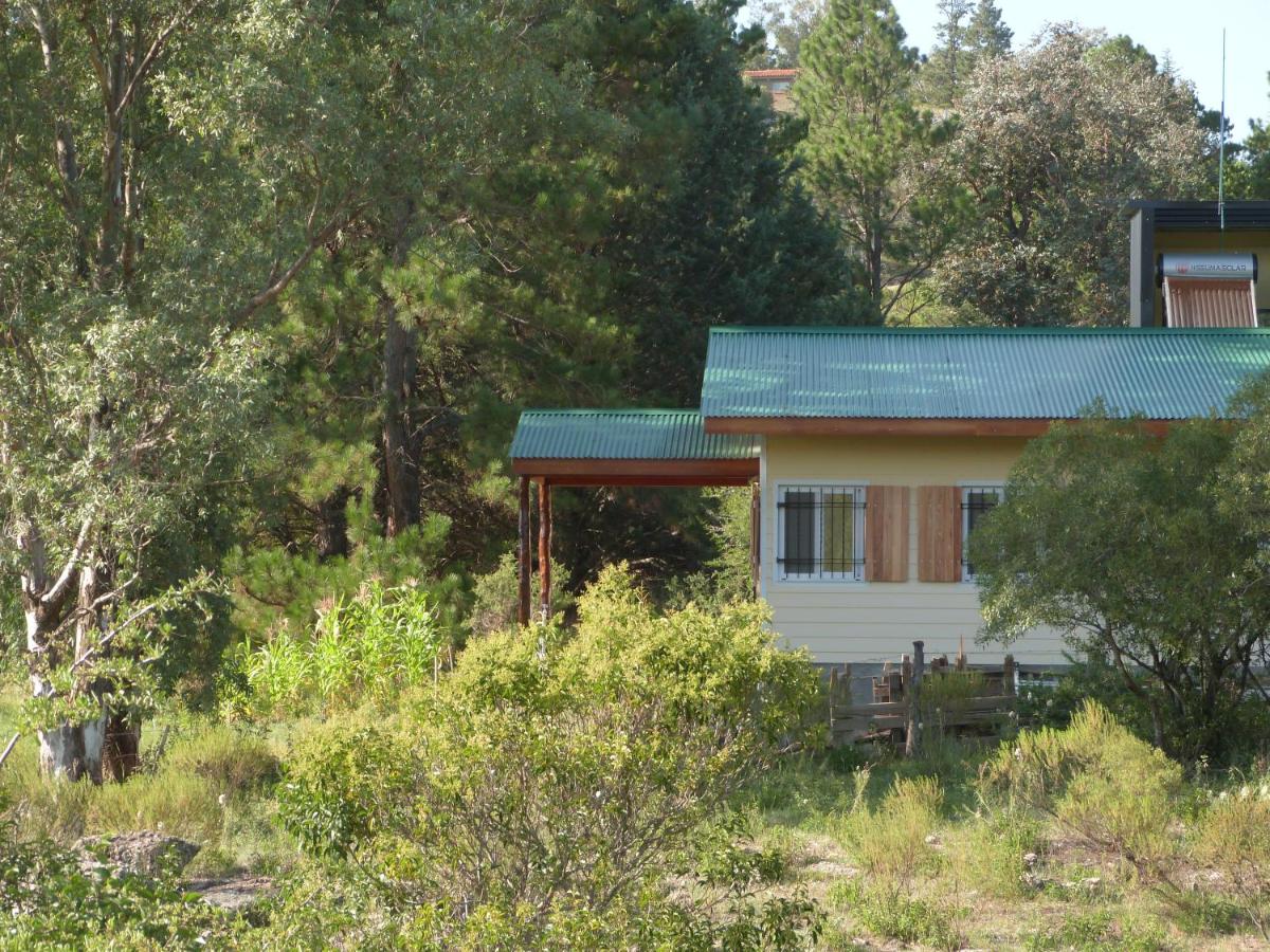 El Pinar - Hospedaje Serrano - Ferienwohnung