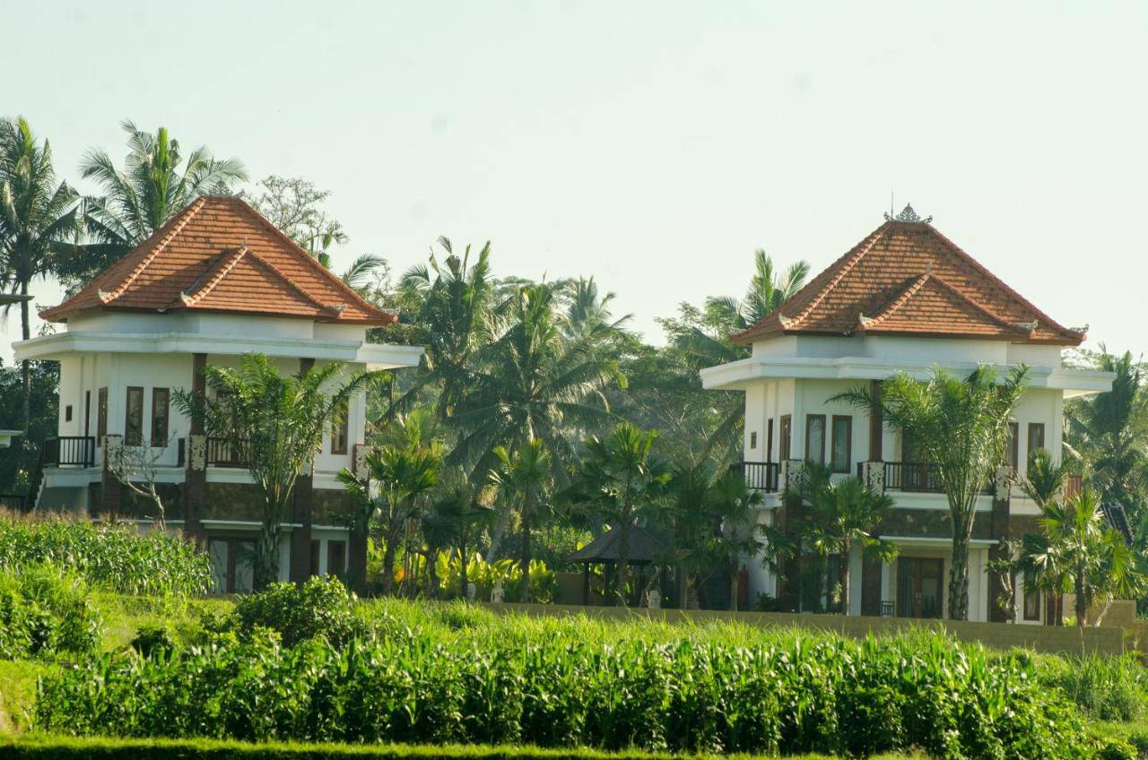 Cenik Villa Ubud - Chambres d’hôtes