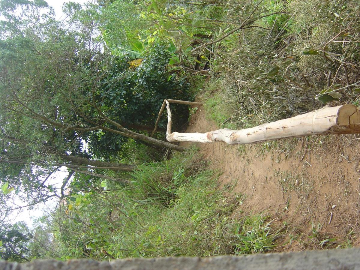 Orgânica-Mente B&B - B&B Visconde de Mauá