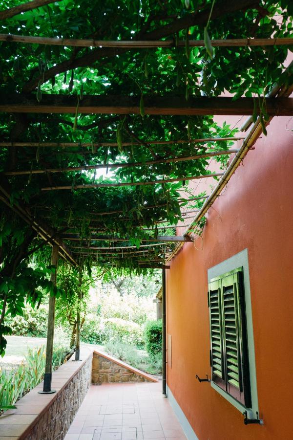 Casa Montecuccoli - B&B Montelupo Fiorentino