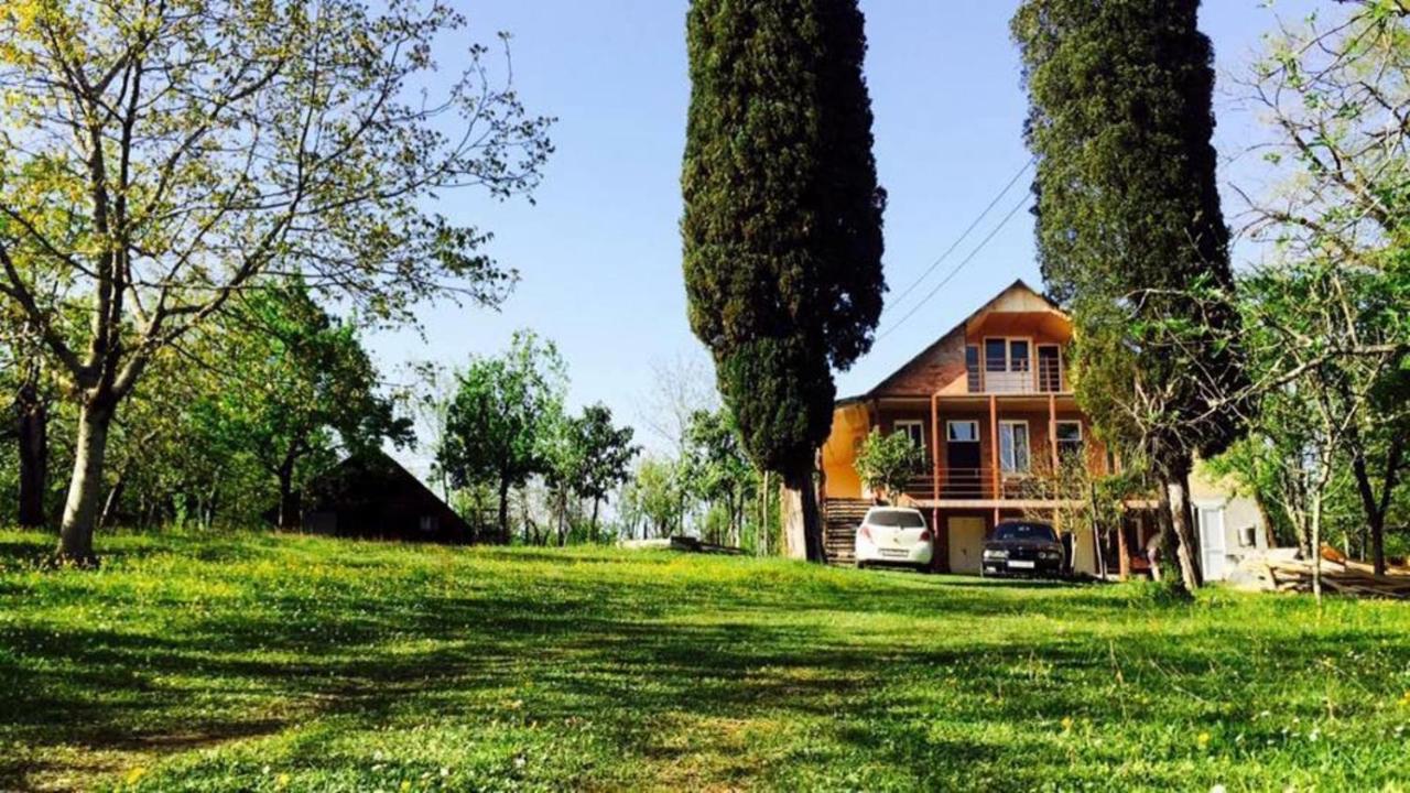 Villa Kardwell - Bed and Breakfast Martvili