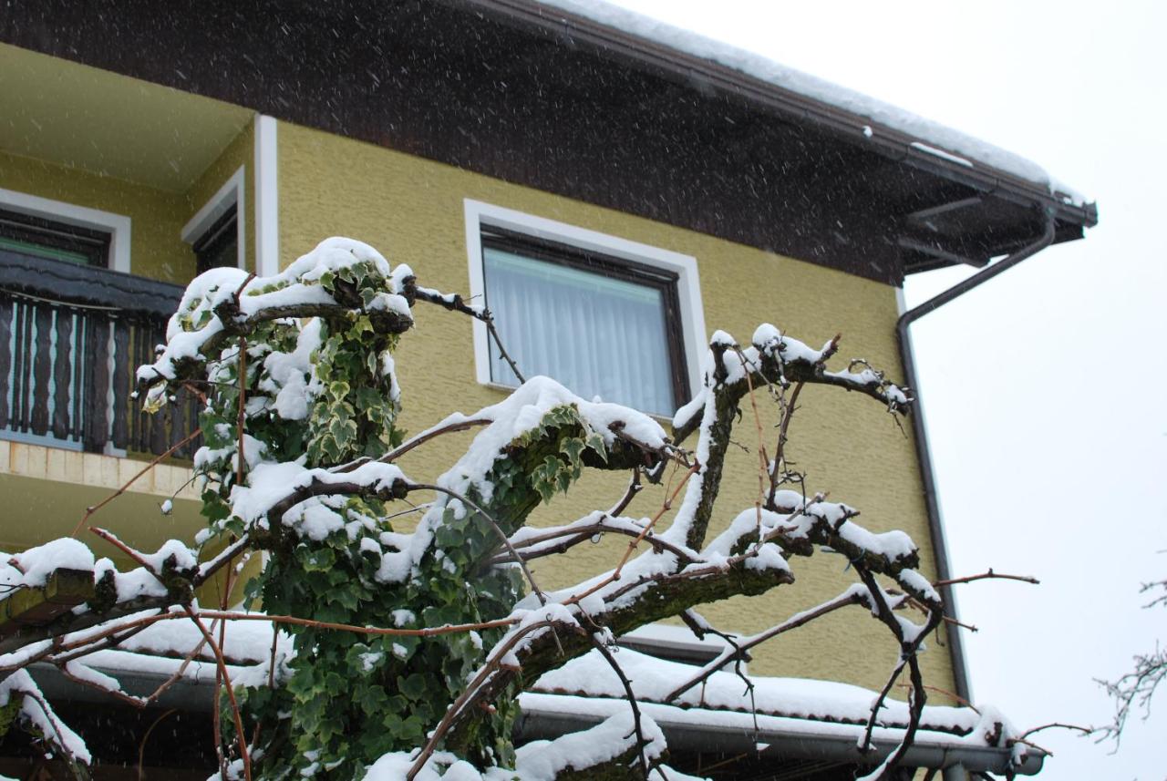 Farm Stay Bogša - B&B