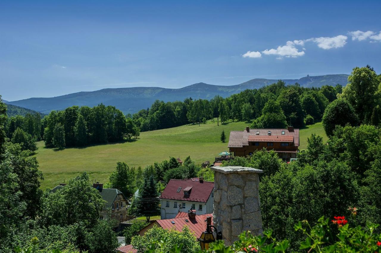 Double Room with Mountain View