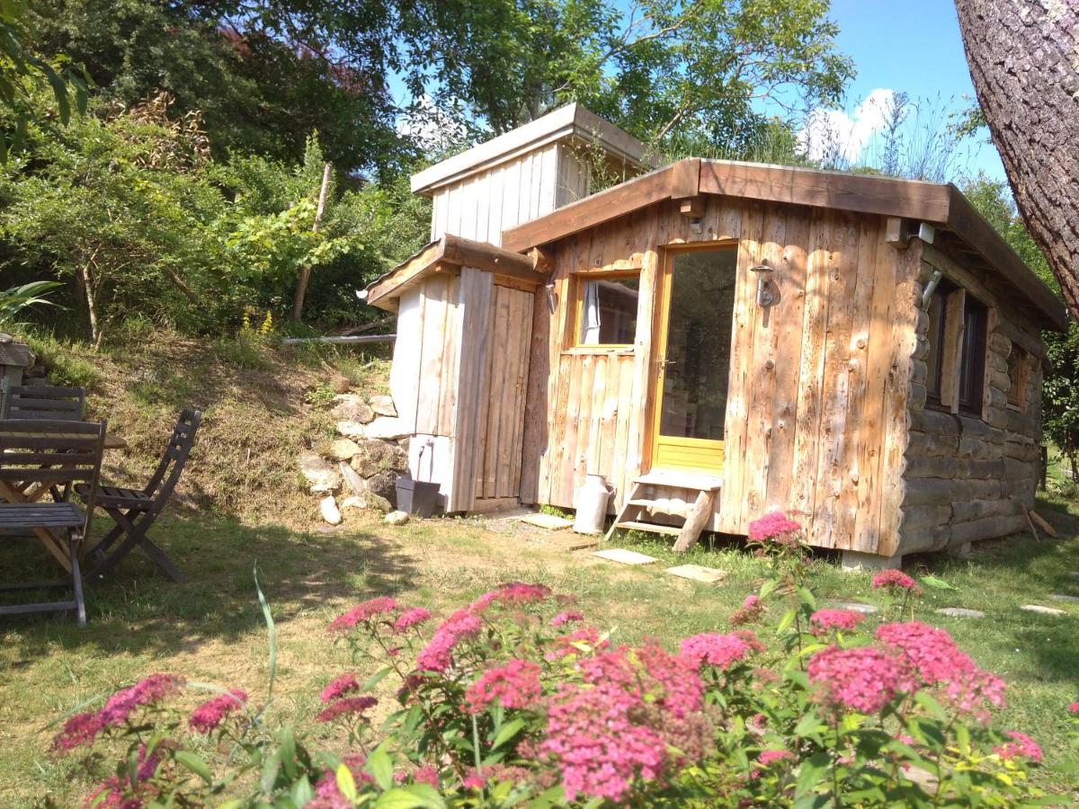 La cabane en bois - B&B