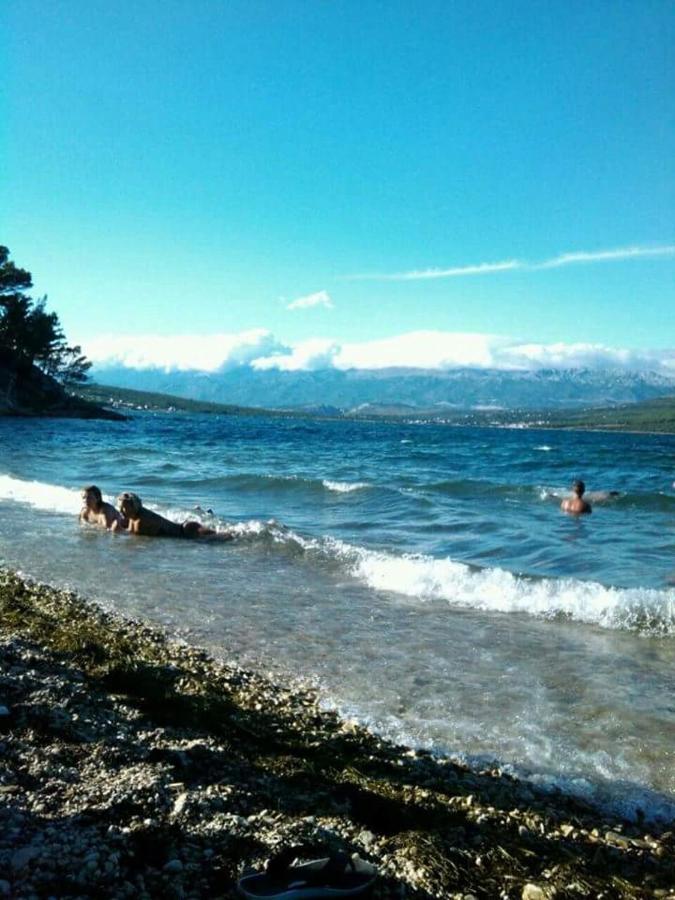 Apartman Volarevic - B&B Donji Karin