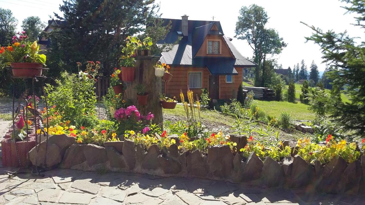 Domek Pod Kogutkiem Na Dolinie - Ferienwohnung
