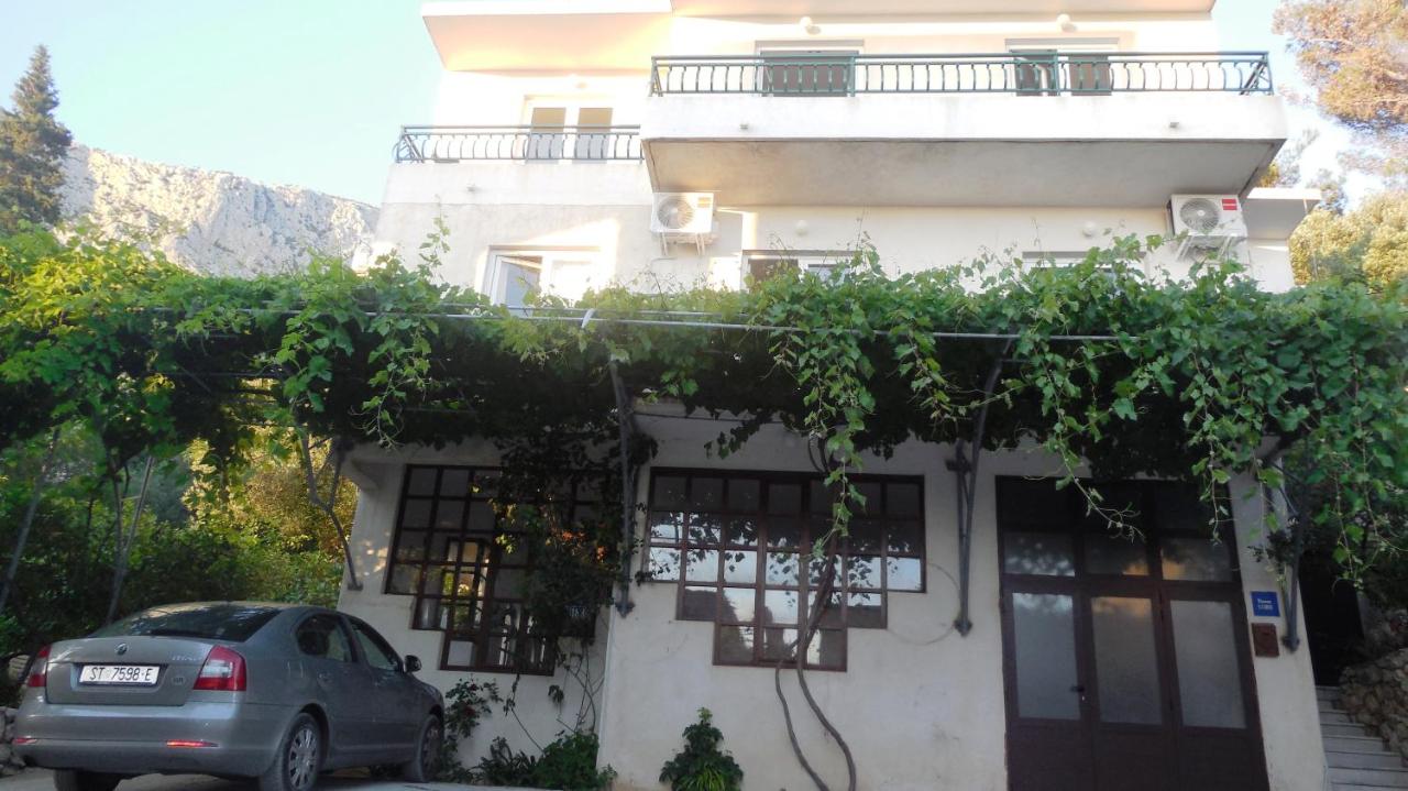 Apartments Maslina - Chambres d’hôtes Drašnice