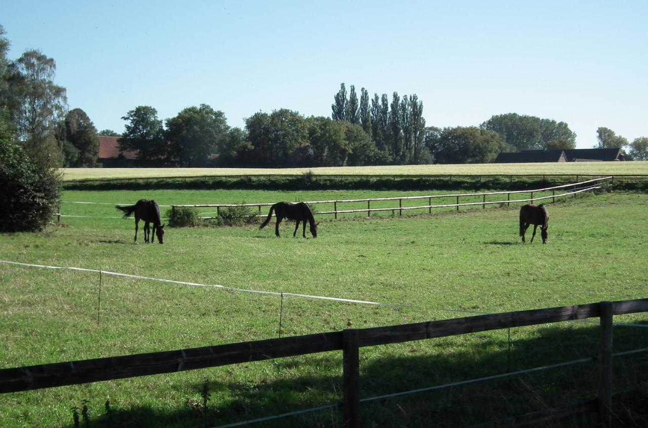 Ferienwohnung "Landblick" - Ferienwohnung