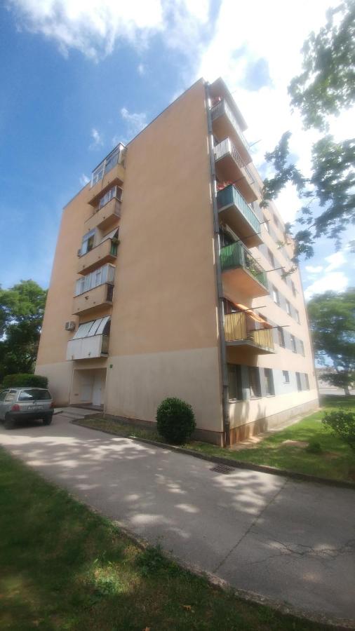 Apartment Aleksandra - B&B