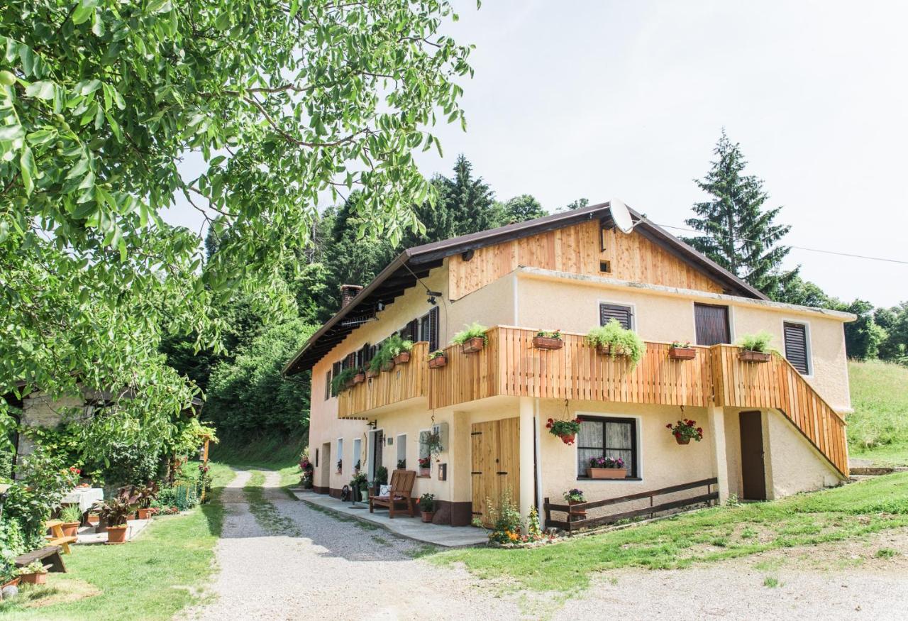 Počitniška hiša Pologar - Bed and Breakfast Tolmin