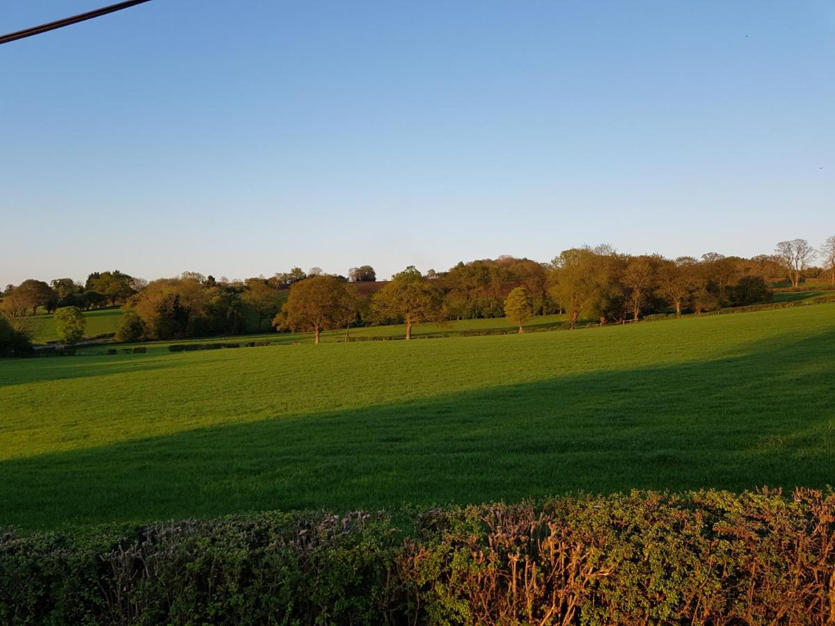 yew tree cottage - B&B