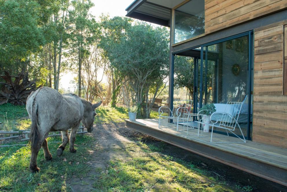 Habitación Doble con vistas al jardín