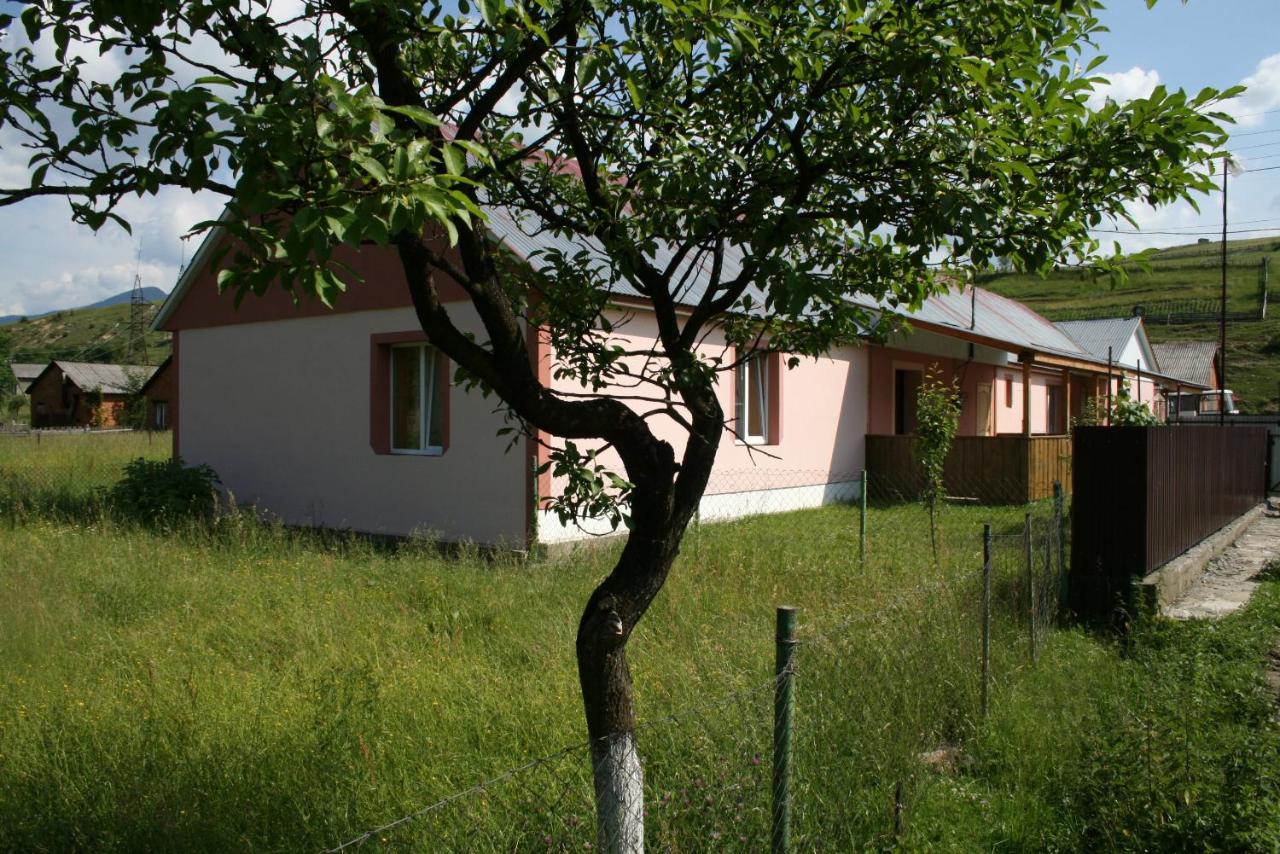 B&B Koloĉava - Котедж Ялівець - Bed and Breakfast Koloĉava