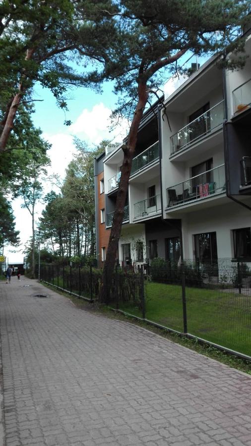 Apartament Dwie Sosny - B&B