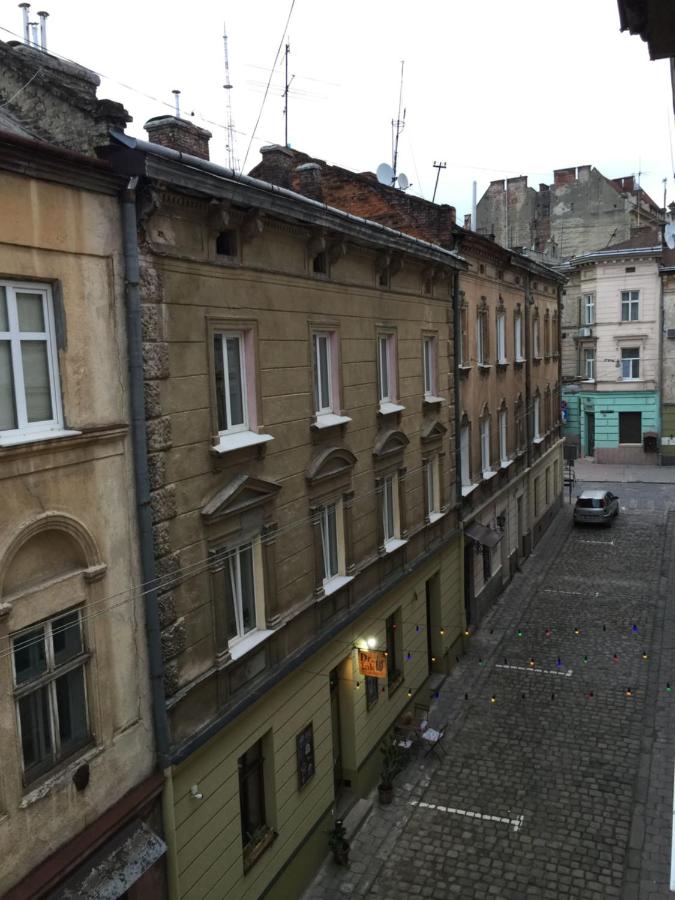 OK Apartments Yana Zhyzhky - Ferienwohnung