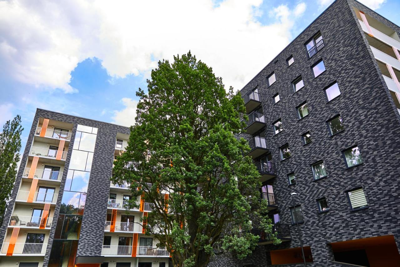 Appartamento con 1 Camera da Letto