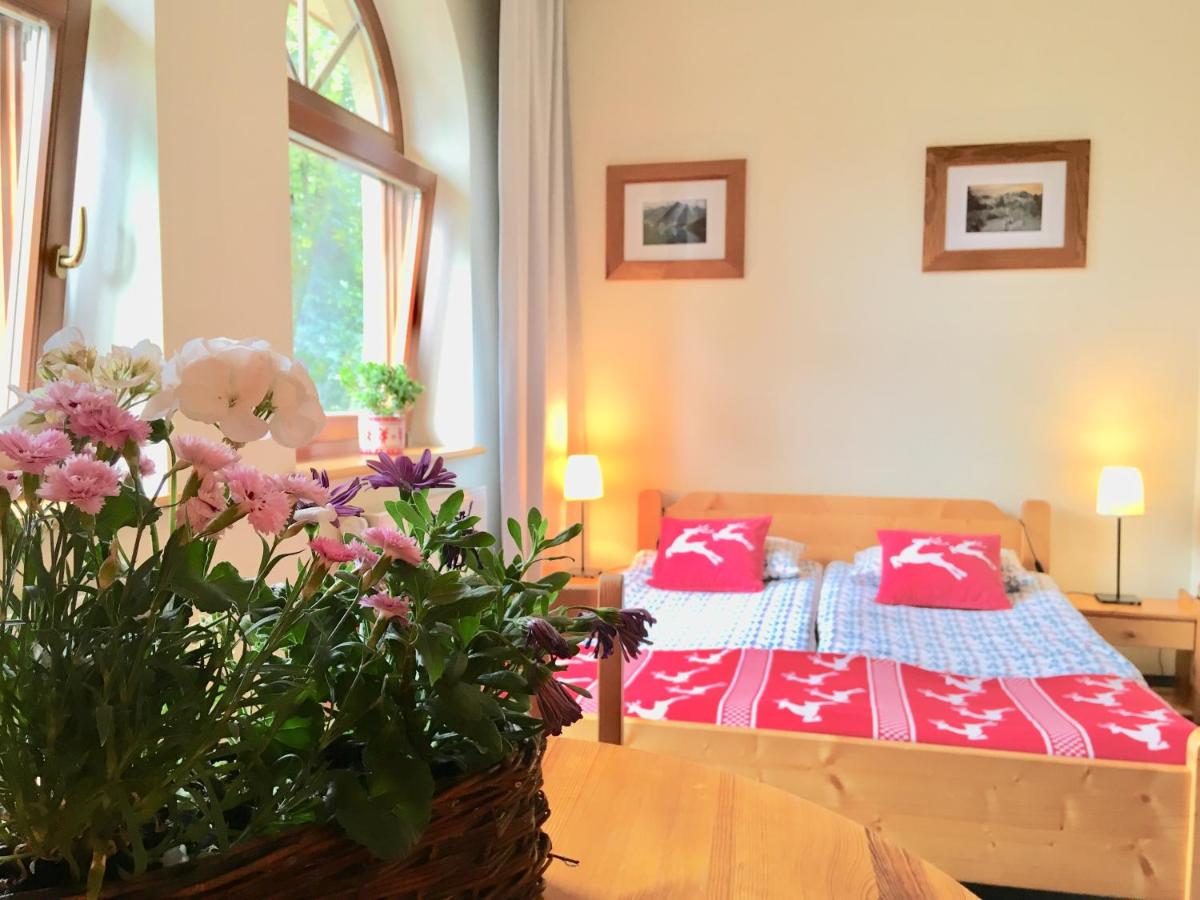 Studio Apartment with mountain view