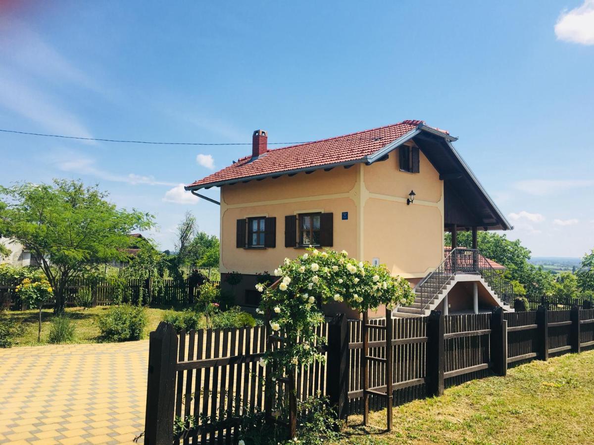 B&B Cepidlak - Kuća za odmor Mirna - Bed and Breakfast Cepidlak