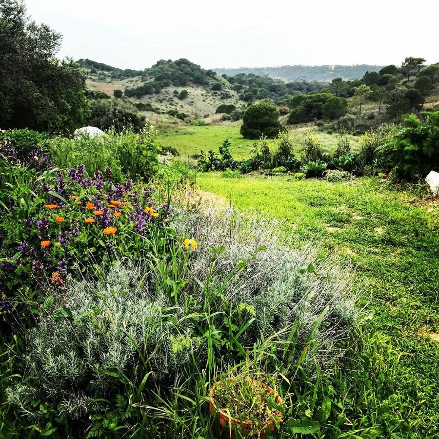 Biovilla Sustentabilidade - B&B Palmela