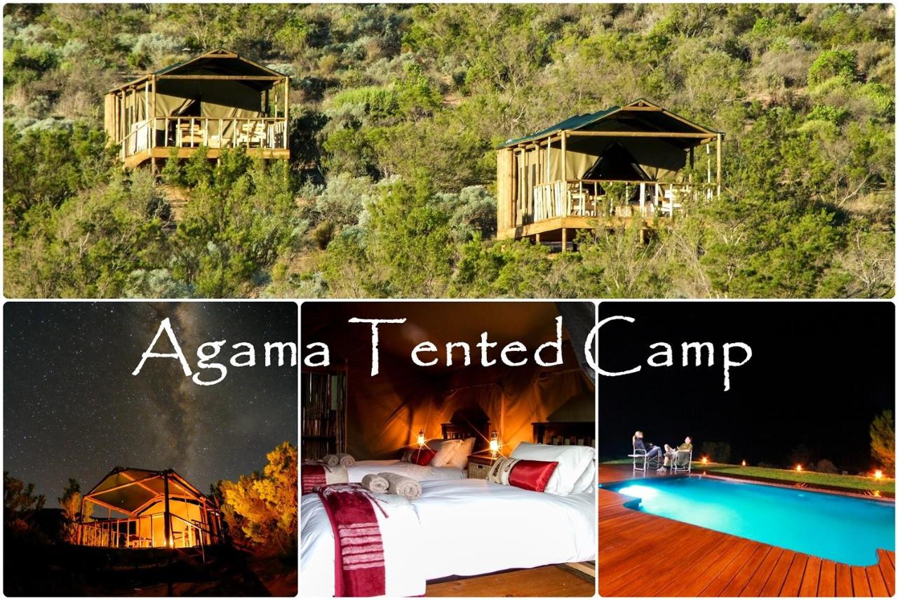 Agama Tented Camp - Chambres d’hôtes Garies