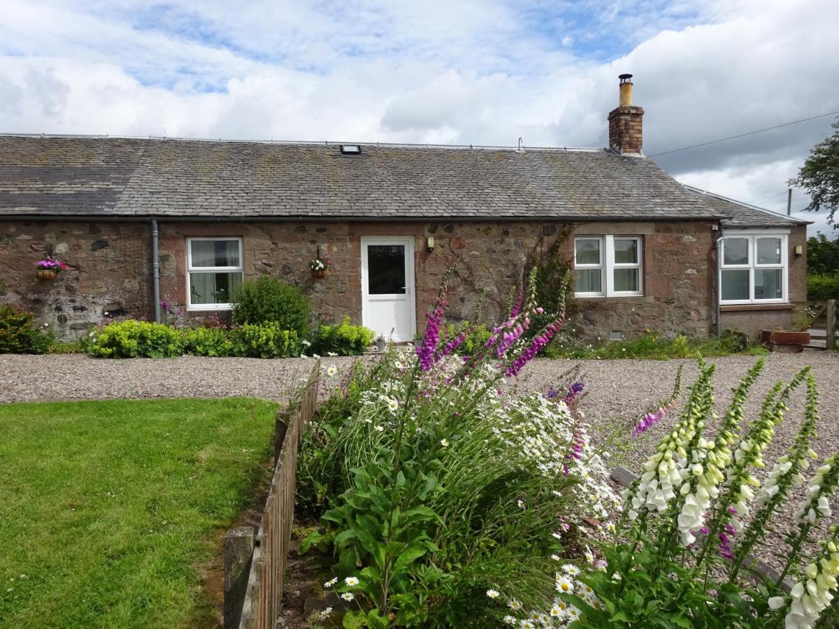 B&B Kilry - Incheoch Farm Cottage - Bed and Breakfast Kilry