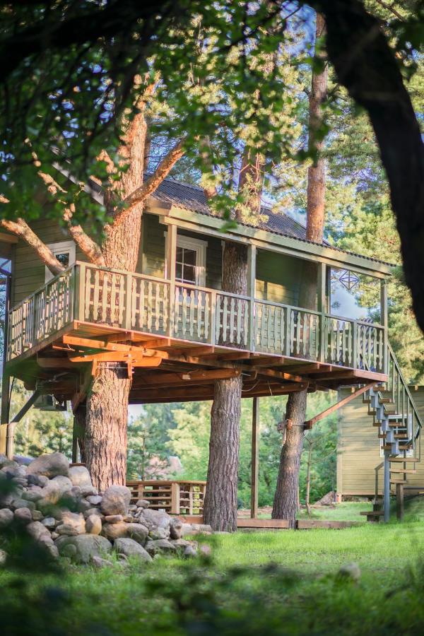 Casa en el árbol