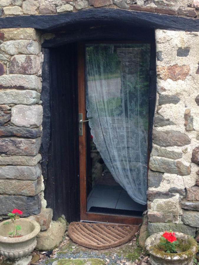 Le Petit Chateau, Matisse - B&B