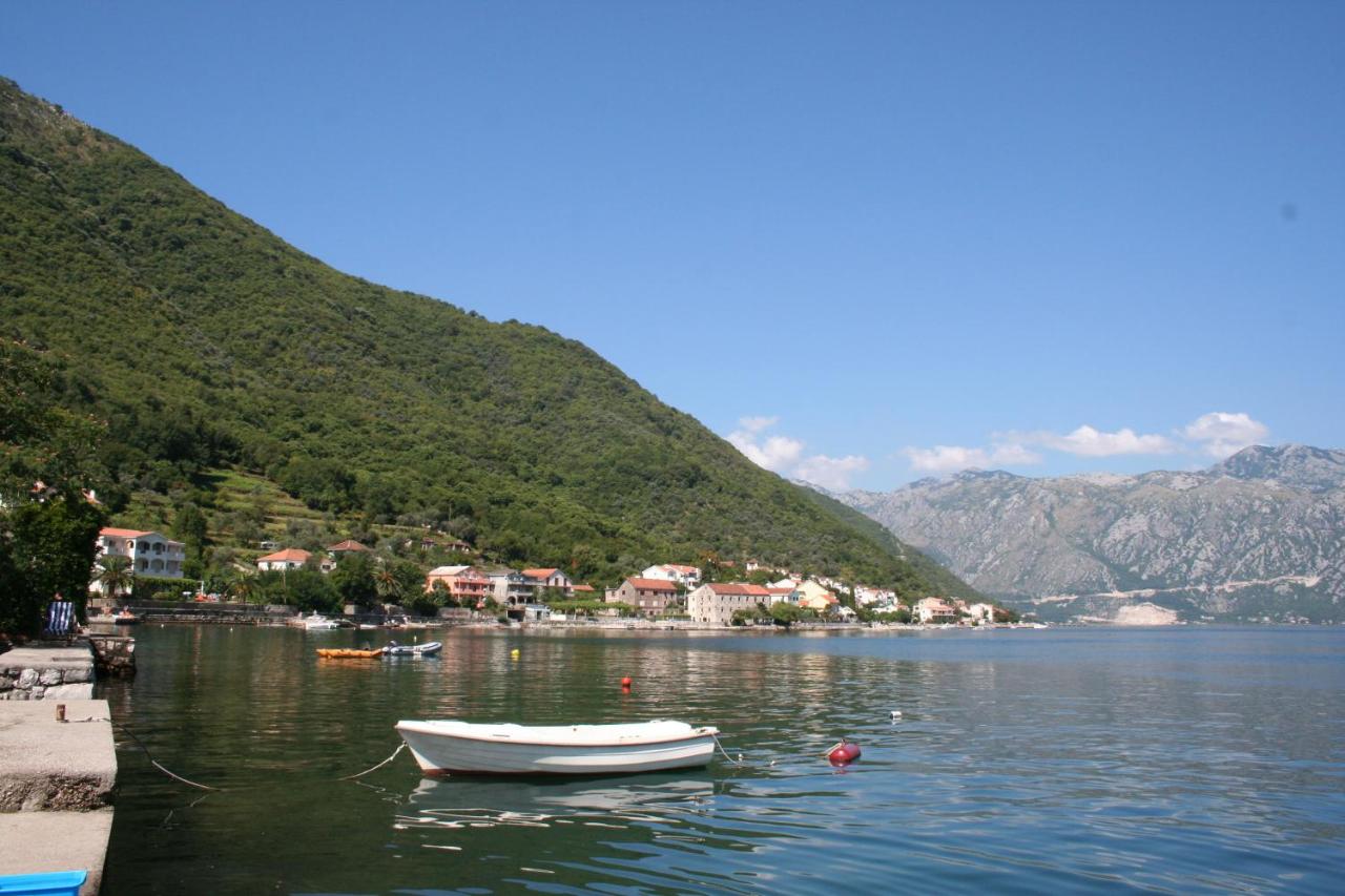 B&B Kotor - Apartments Penovic - Bed and Breakfast Kotor