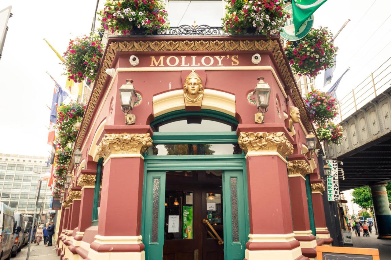 B&B Dublin - Molloys Apartments - Bed and Breakfast Dublin