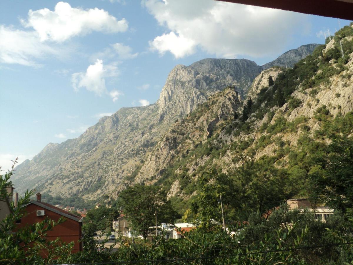 One-Bedroom Apartment with Mountain View