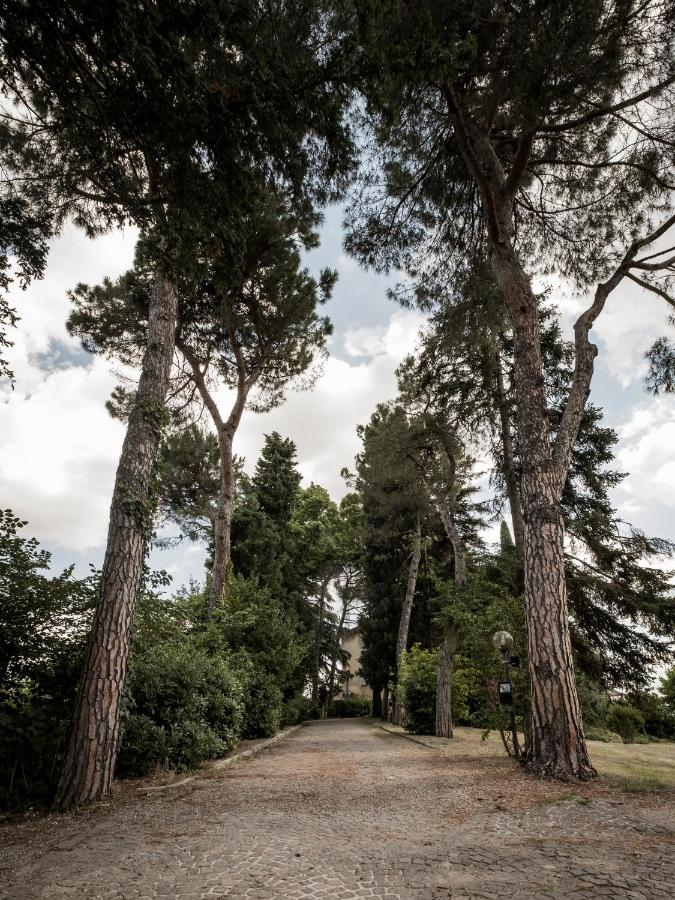 Accademia al Colle - B&B