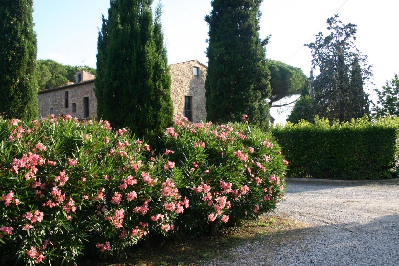 B&B Bibbona - Casaleaurelia - Bed and Breakfast Bibbona