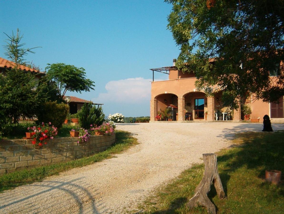 Agriturismo Marruchetone Vecchio - Bed and Breakfast Marsiliana