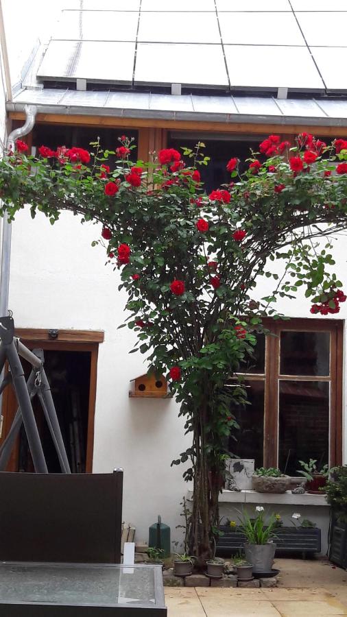 Chez Christian au coeur du val de saone - Ferienwohnung Auxonne