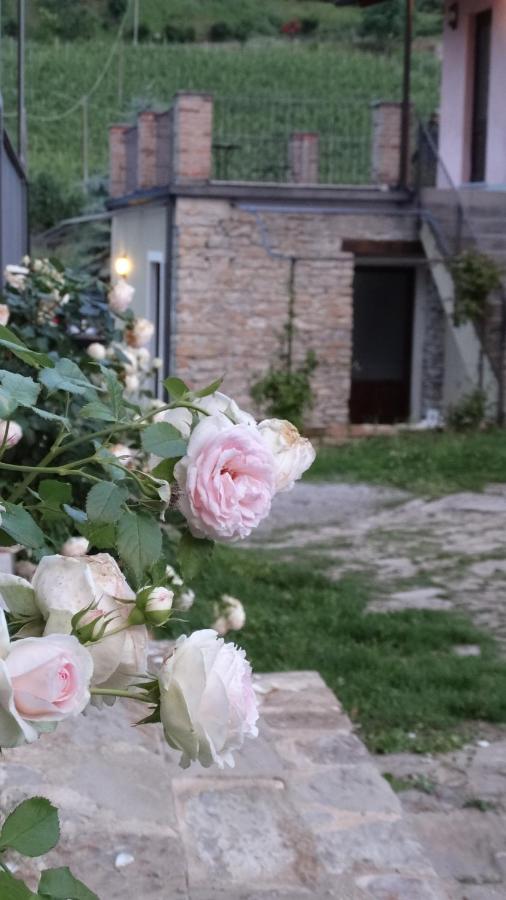 Corte di Langa - B&B
