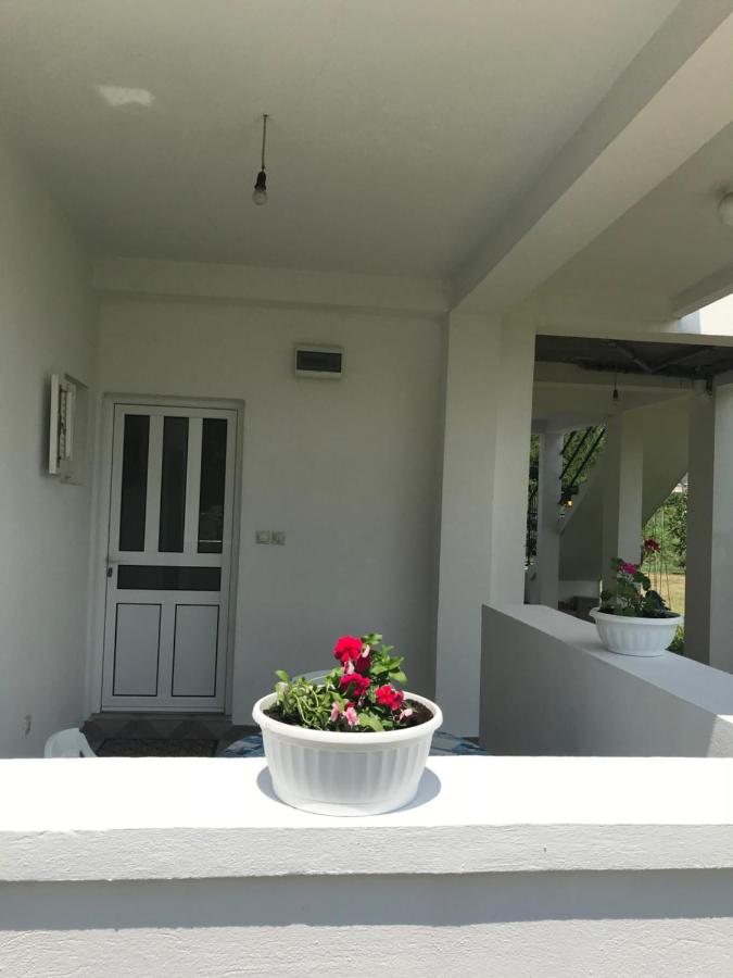 Appartamento con Balcone
