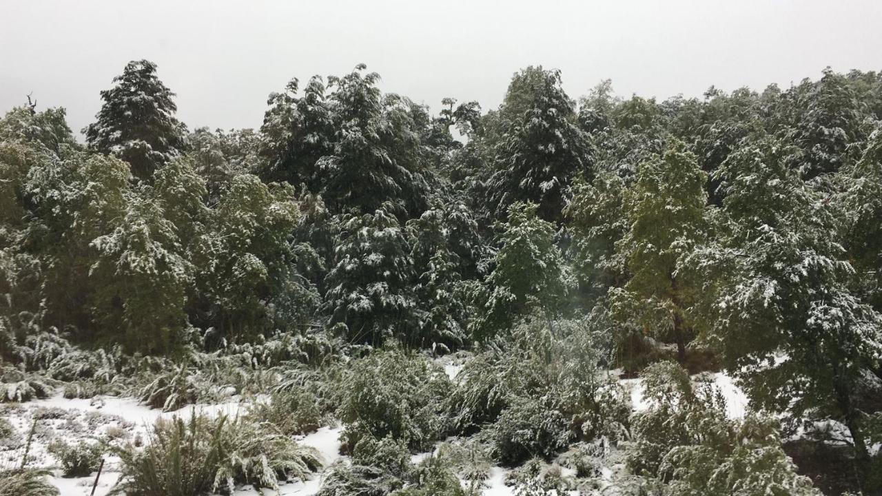 Casa Negra Nevados de Chillan - Ferienwohnung