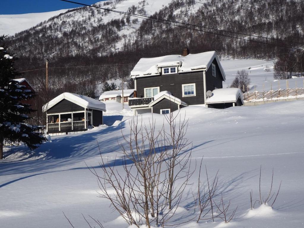 B&B Geilo - Apartment between Ustaoset and Geilo - Bed and Breakfast Geilo