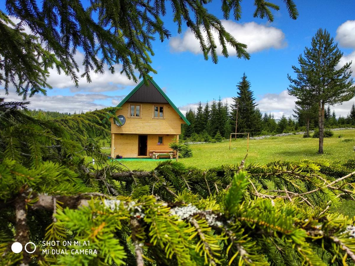 B&B Žabljak - Eco house - Bed and Breakfast Žabljak