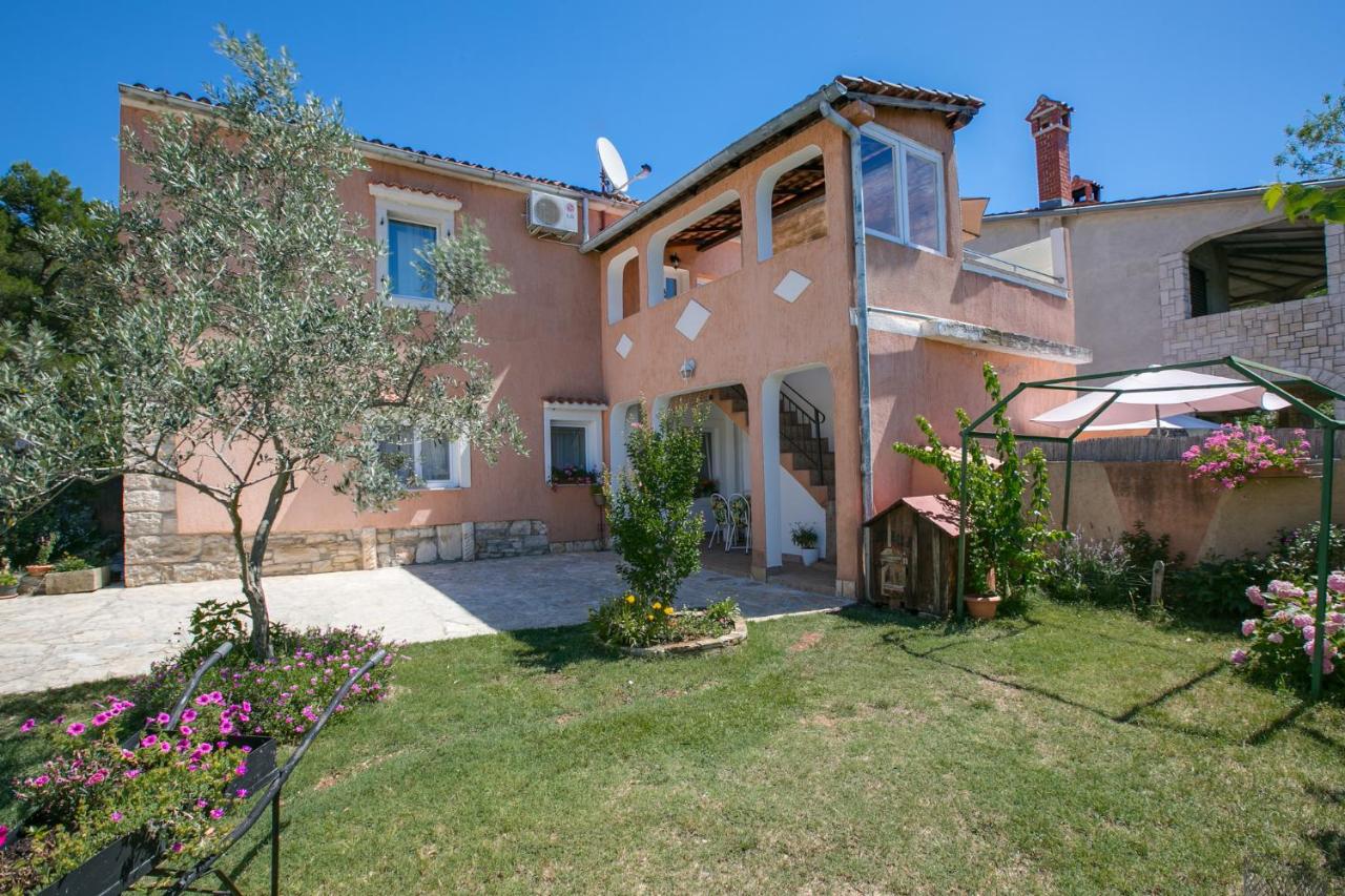 Apartment Maja - B&B