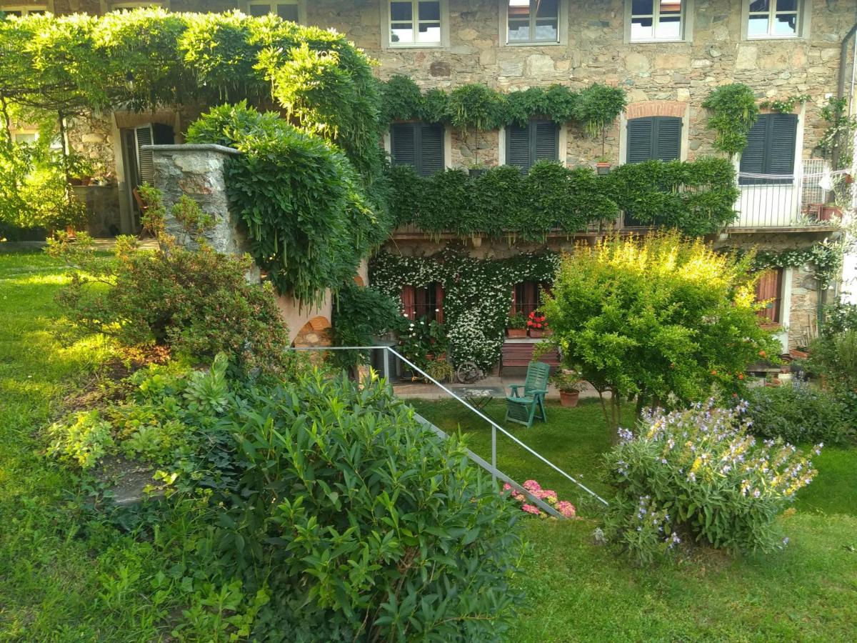 Il Glicine - B&B Zimone