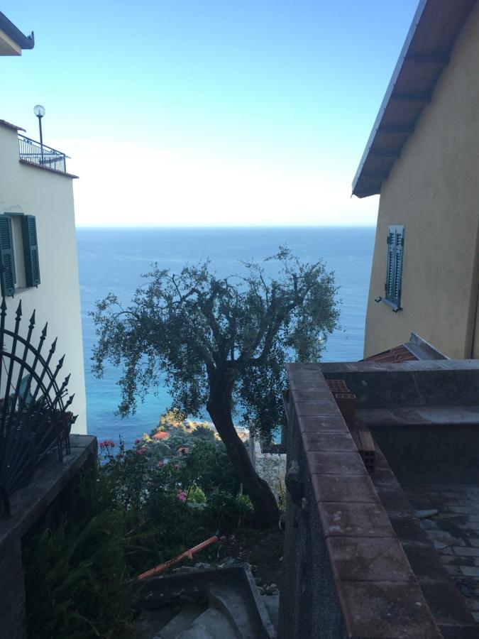 House in Grimaldi. Spectacular view over the French Riviera! - Ferienwohnung