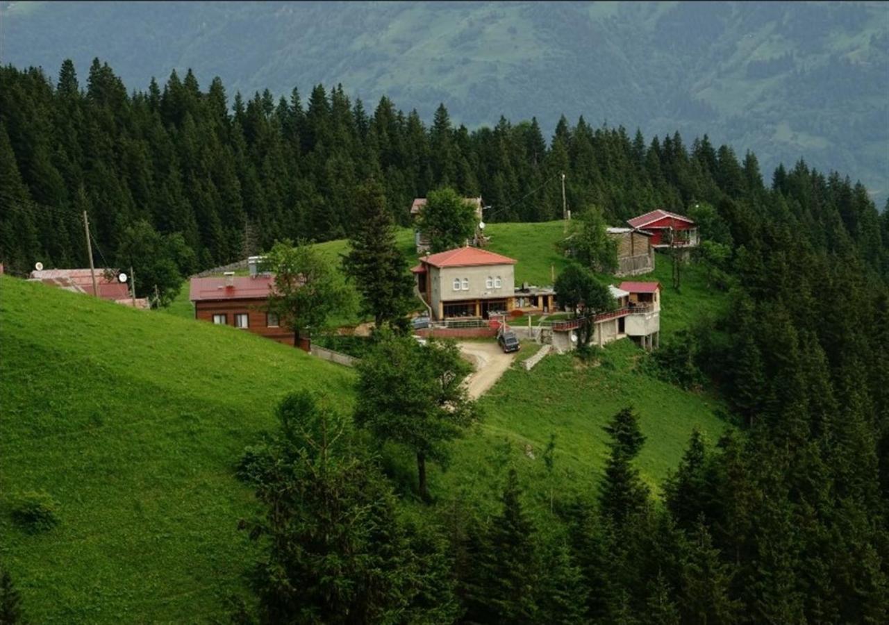 Gumul pansiyon - Chambres d’hôtes