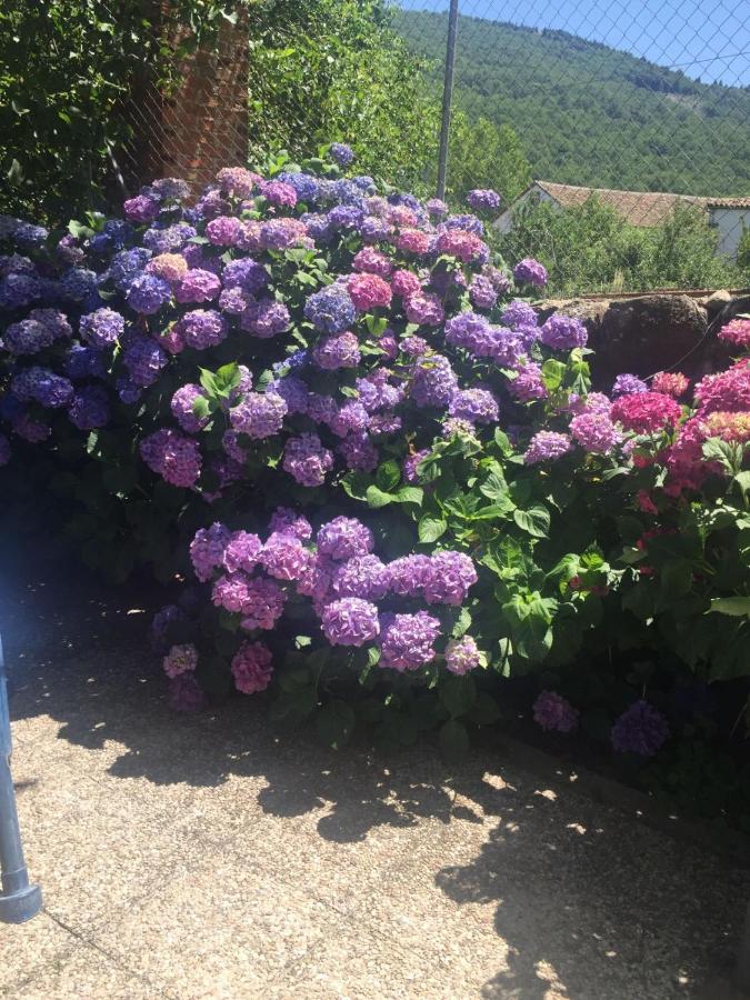 Casa Camino Real - Bed and Breakfast