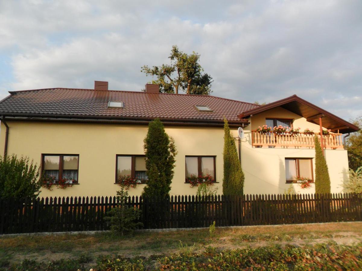 B&B Poddębice - Maciejówka Gospodarstwo Agroturystyczne - Bed and Breakfast Poddębice